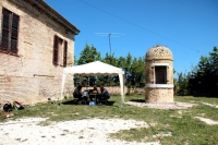 marconi41